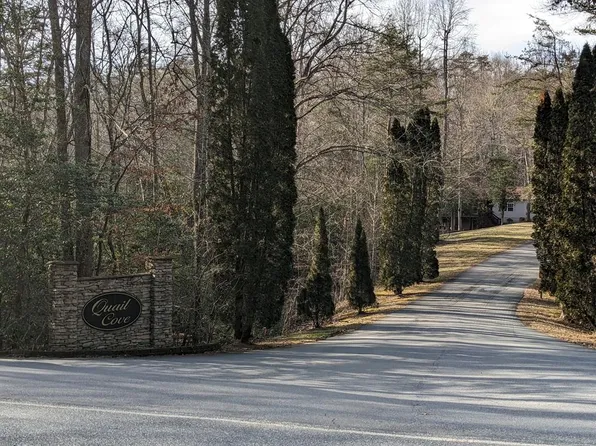 LOT-11B Snipe Hollow Ln, Warne, NC 28909