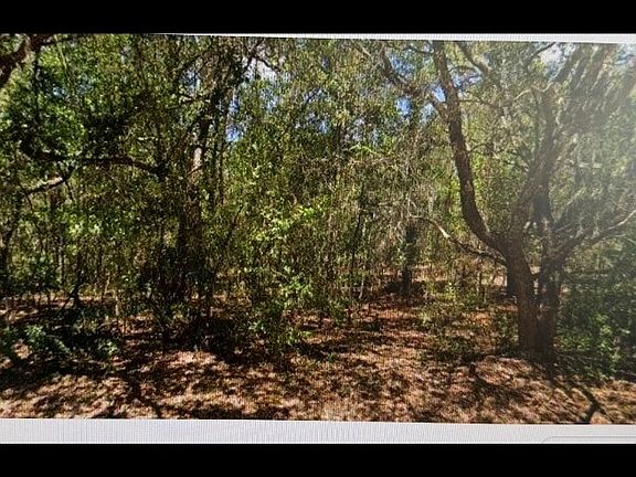 2nd image of 4430 N Wigwam Ter