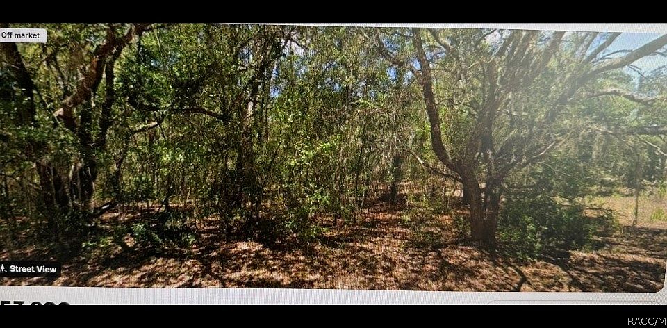 2nd image of 4430 N Wigwam Ter