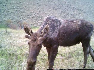 3966 Camp Creek Rd, Butte, MT 59701