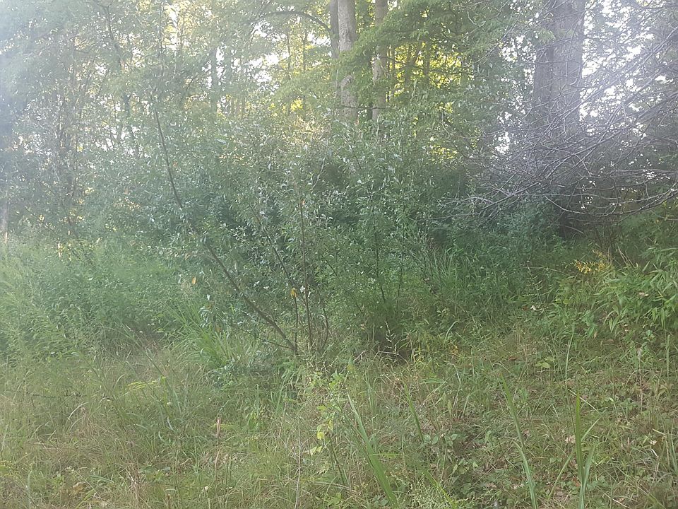 2nd image of 101 Jones Ave