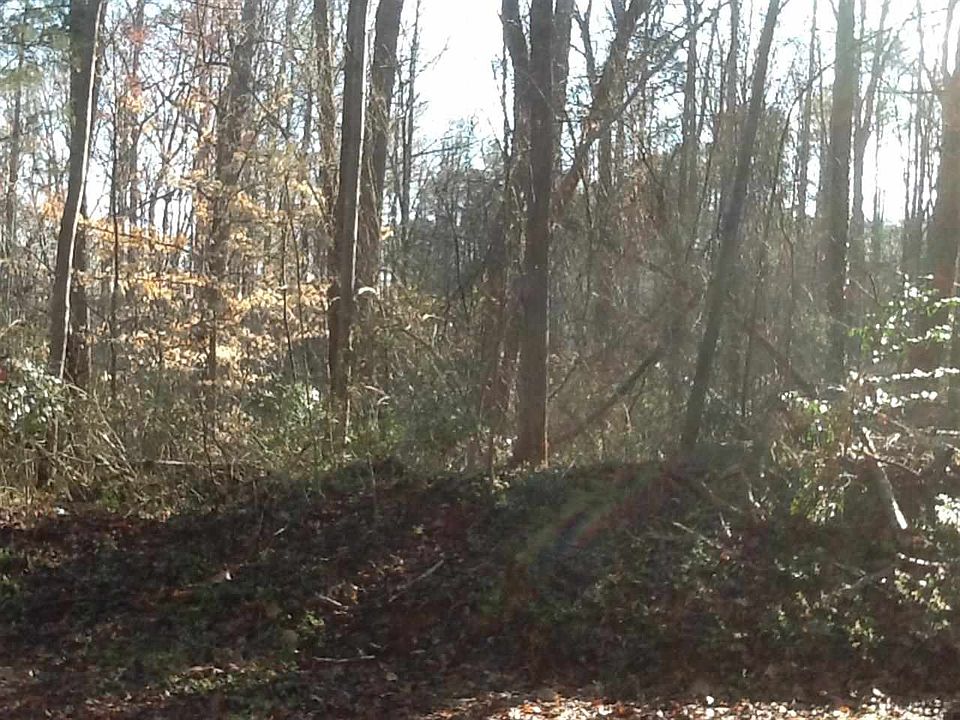 2nd image of Oak St