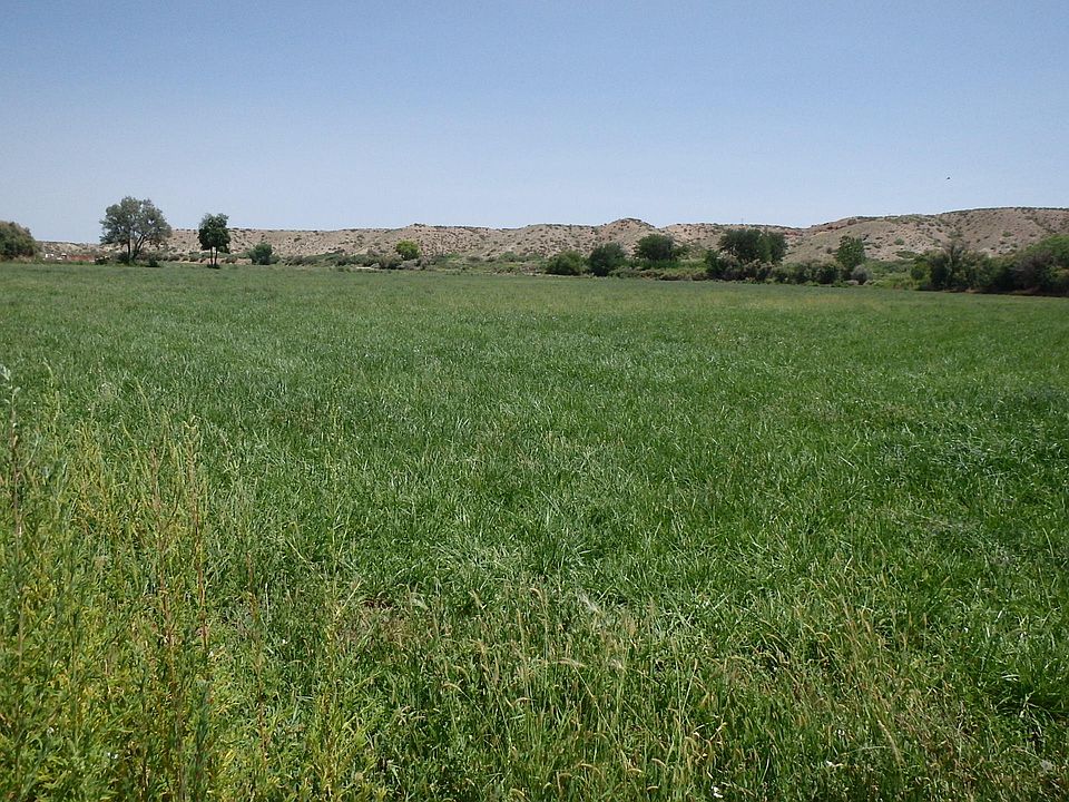 La Joya Farm Lots 3 4 5 6, La Joya, NM 87028 Zillow