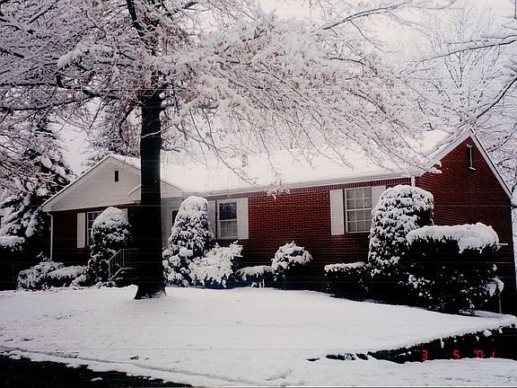 winter
