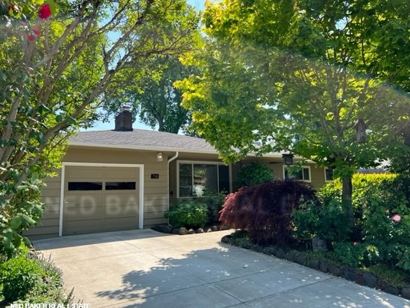 3Bd/1.5Ba Single Story House - Available End of Sept! — Photo 1