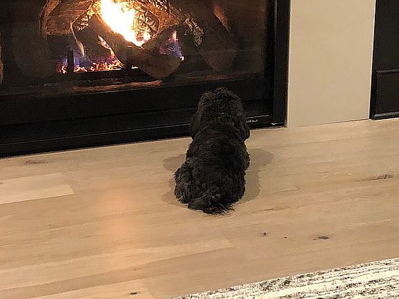 Cozy fireplace 