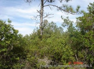 18027 Rapidan Rd, Weeki Wachee, FL 34614