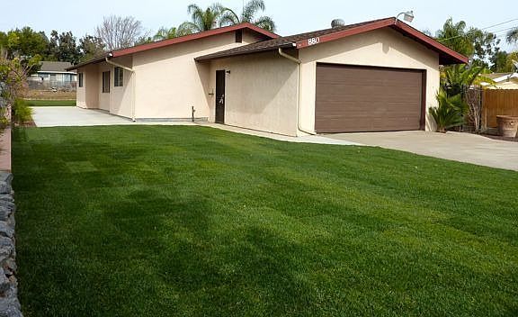 New Sod & Sprinklers 