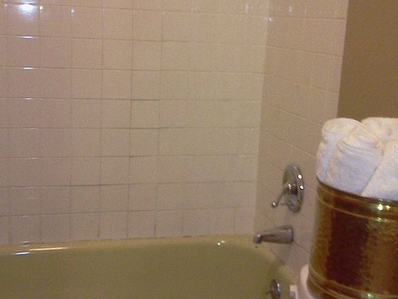 Downstairs Bath