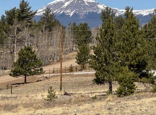 2841 Singletree Rd, Hartsel, CO 80449