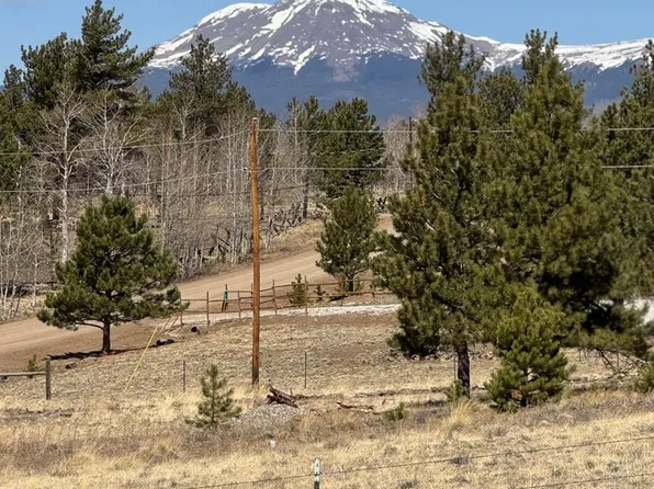 2841 Singletree Rd, Hartsel, CO 80449