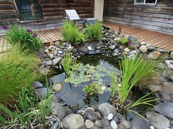 Pond and Deck
