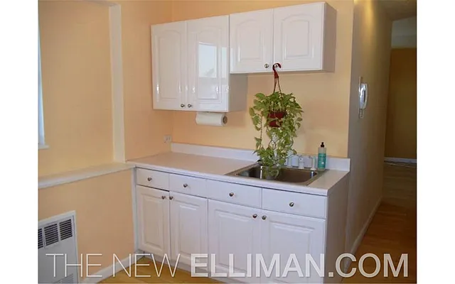 Rented by Douglas Elliman | media 6