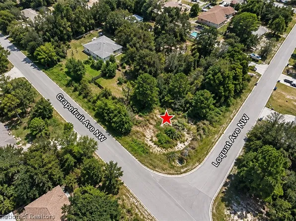 273 Loquat Rd NW, Lake Placid, FL 33852