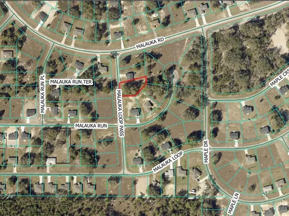 Malauka Loop Pass Lot 3, Ocklawaha, FL 32179