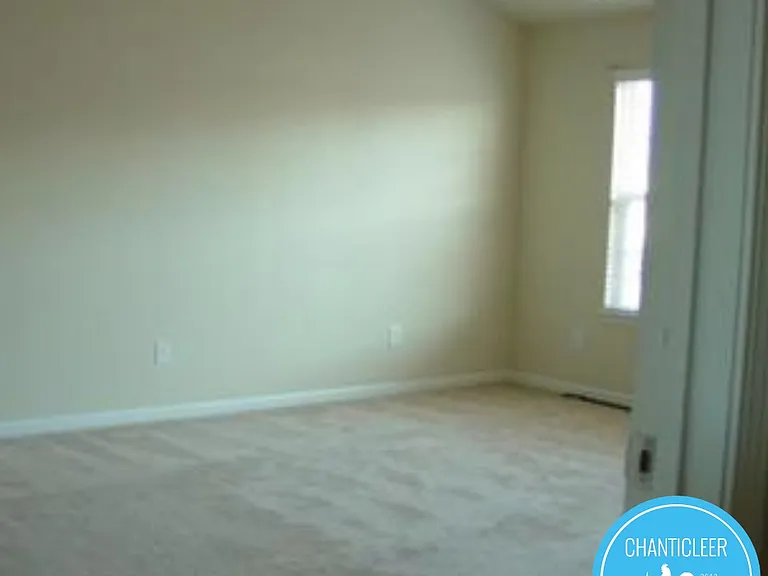 105 Chandler Springs Dr #1 — Photo 9