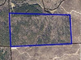 0 Pleasant Hill Rd, Eufaula, AL 36027