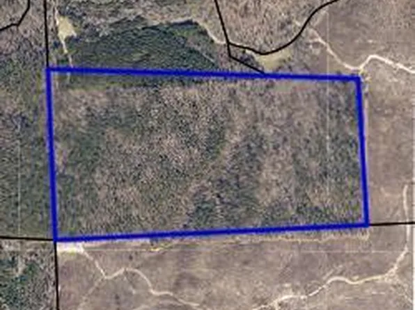 0 Pleasant Hill Rd, Eufaula, AL 36027