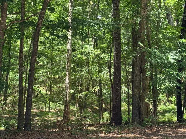 (undisclosed Address), White Hall, AR 71602