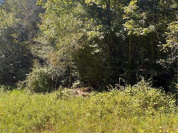 3rd image of River Road Liberty Grove Rd Lot 6