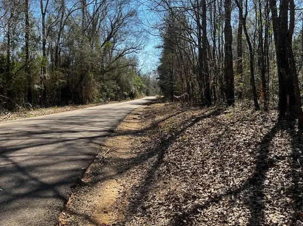 3 Jessie Stogner Rd, Sandy Hook, MS 39478