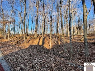 123-1718 Ferrell Cir, Cadiz, KY, 42211