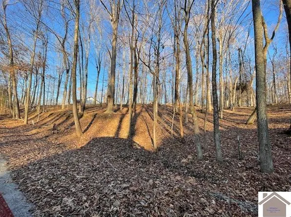 123-1718 Ferrell Cir, Cadiz, KY 42211