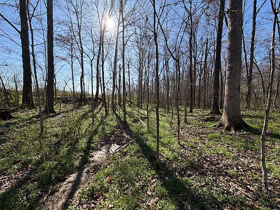 4th image of 1 Samuel Dr