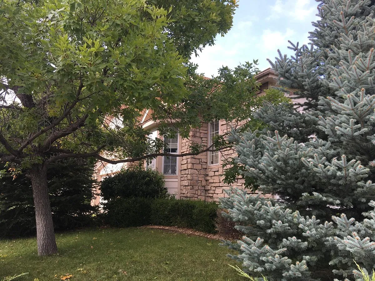 5 bed, 3358 sqft, $3,300 — Photo 2