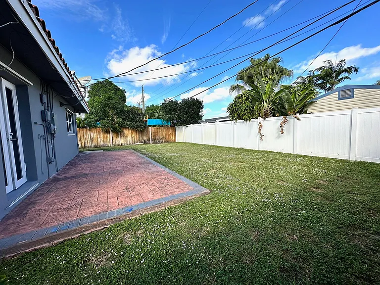 Backyard