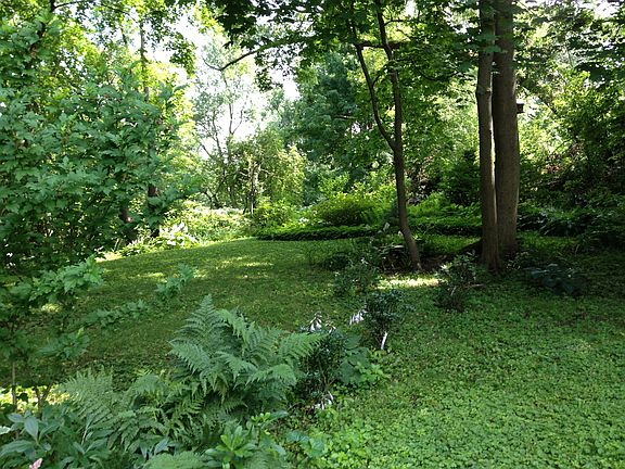 view of spacious yard