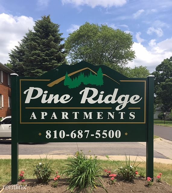 Pine Ridge Blue Sky