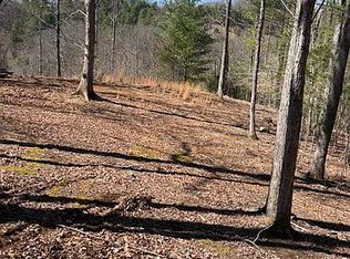 448 Sweet Hollow Rd, Burnsville, NC 28714
