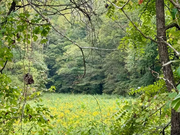 0 S Upper River Rd, Livingston, KY 40445