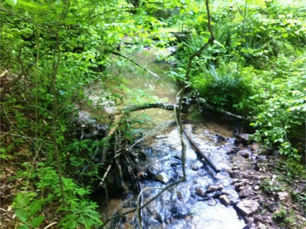 Highway 72 E, Carlton, GA 30627