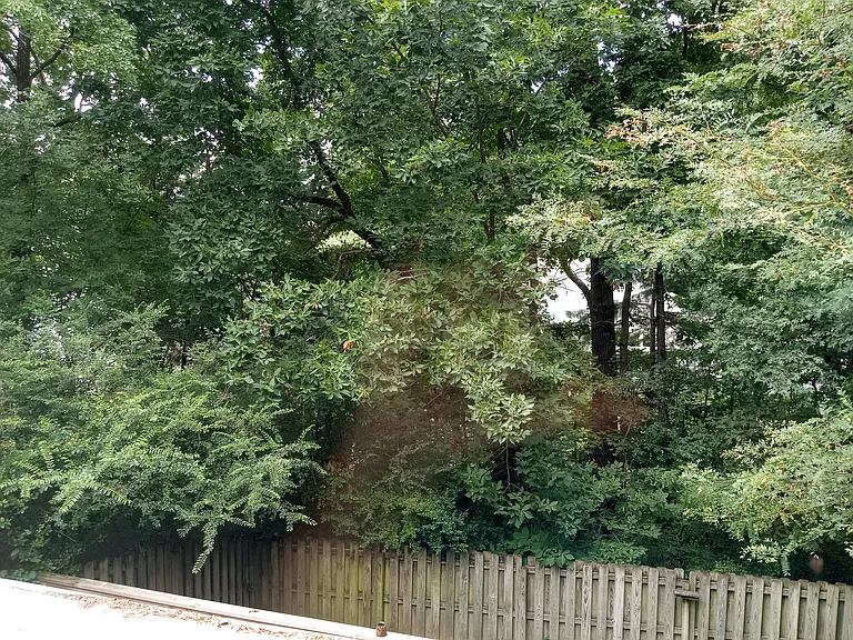 1829 Ivystone Dr — Photo 25