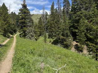 Nhn Codette Creek Road Ave, Lincoln, MT 59639