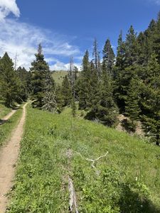 Nhn Cadotte Creek Rd, Lincoln, MT, 59639