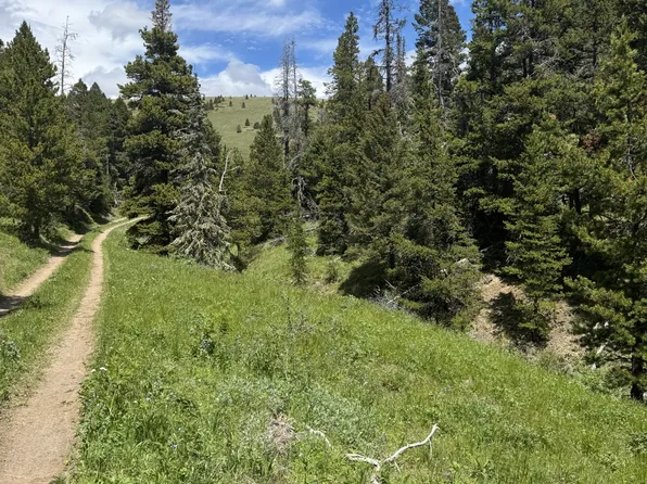 Nhn Cadotte Creek Rd, Lincoln, MT 59639