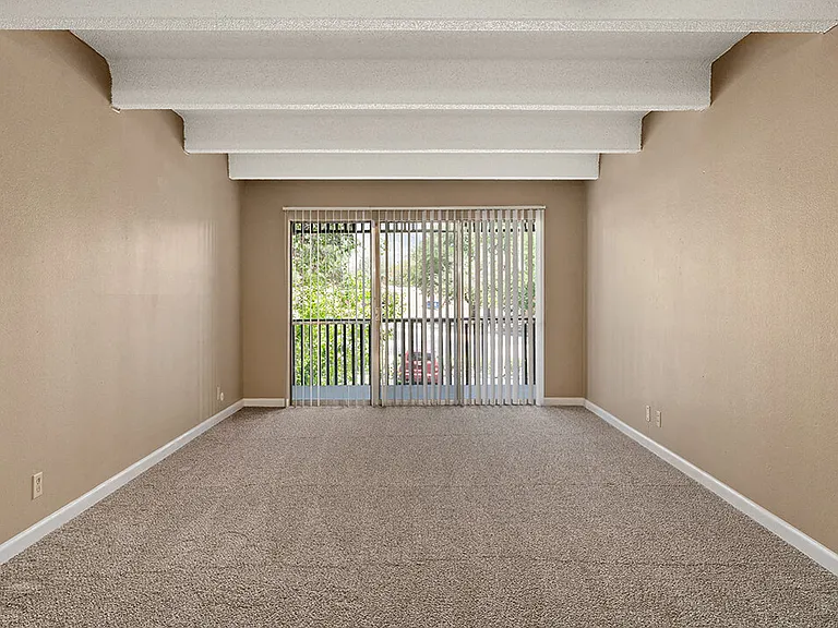 Plenty of Natural Light