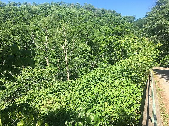 South side of 1/3 acre