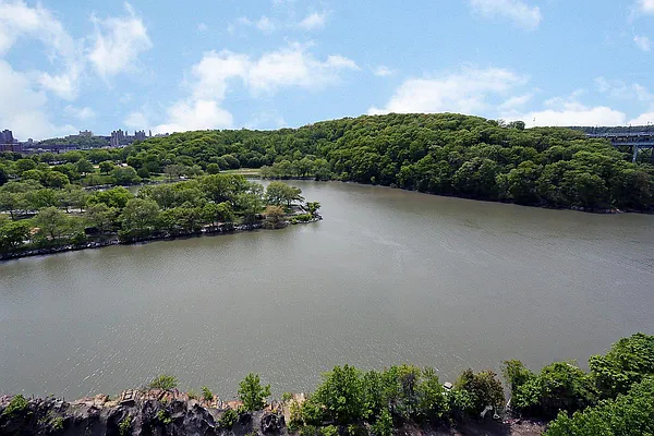 Sold by Douglas Elliman | media 12
