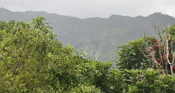 Mountain Views