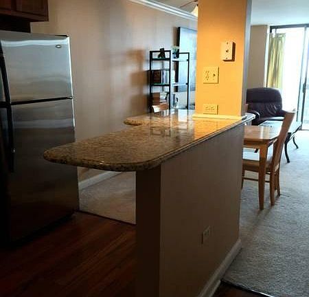 4th image of 1660 N La Salle Dr #34