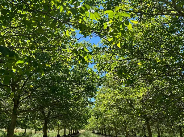 Highway 45, Princeton, CA 95970