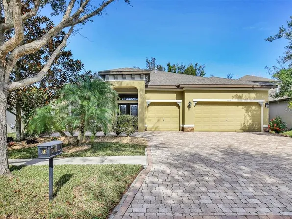 15718 Starling Water Dr, Lithia, FL 33547