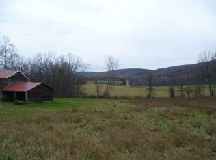 1853 Switzkill Rd, Berne, NY 12023