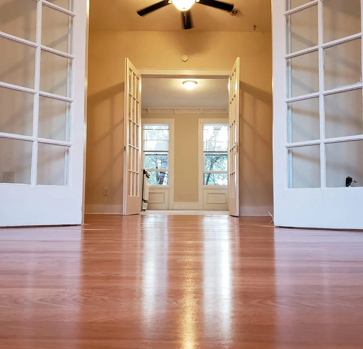 1 bed, 800 sqft, $1,800 — Photo 1