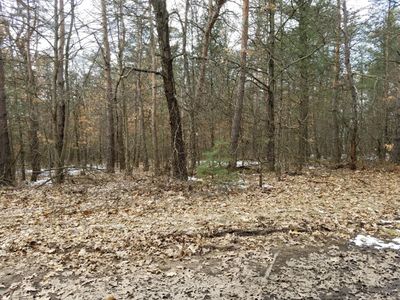 PARCEL 1 Cottonwood Ave, Newaygo, MI, 49337