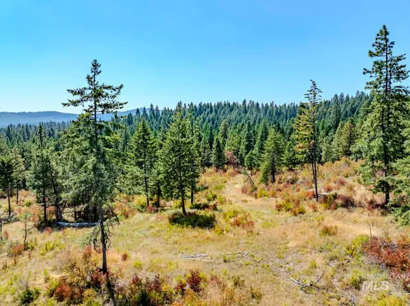 Starview Ln Parcel 1 & 2, Princeton, ID 83857